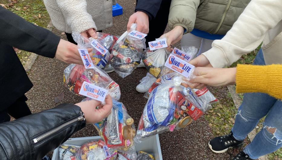 4 Mouches De Pêche Vintage NOS Garberville Ca - Années 60, Pour Truite, Jamais Ouvertes