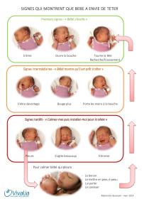 Brochure : "Les signes que bébé a envie de téter"