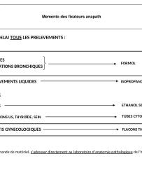 Memento des fixateurs anapath.pdf