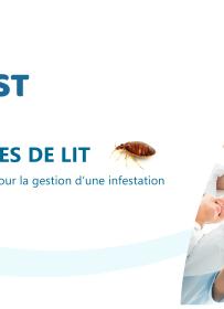 PUNAISES DE LIT Informations pour la gestion d’une infestation