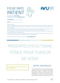 Cystoprostatectomie