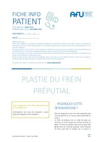 Plastie de frein