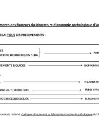 Memento des fixateurs anapath.pdf