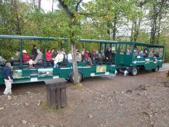 Excursion