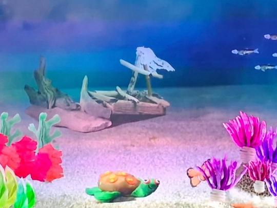 Fondation Vivalia - Illuminart