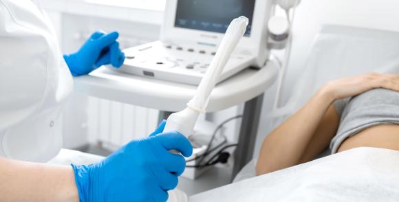 illustration gynéco (source : adobe stock)