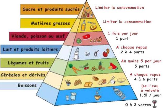 pyramide_alimentaire.jpg